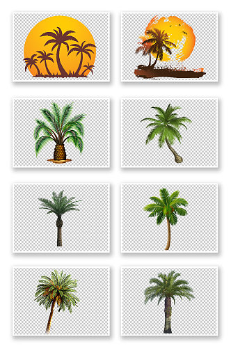 免抠PNG素材棕榈树