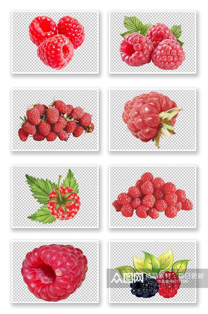 免抠PNG素材覆盆子树莓素材