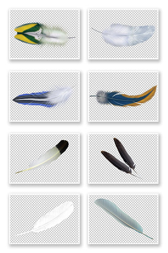 PNG免抠素材羽毛