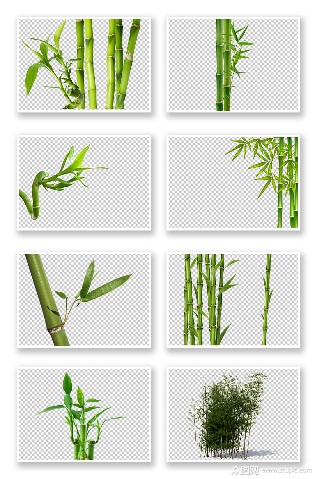 png免抠素材竹子模板下载-编号4001942-众图网