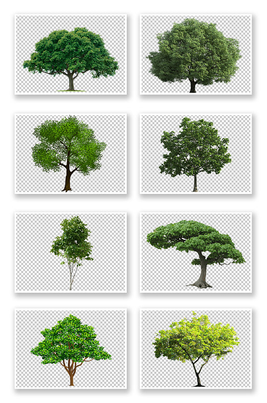 PNG免抠素材一棵树