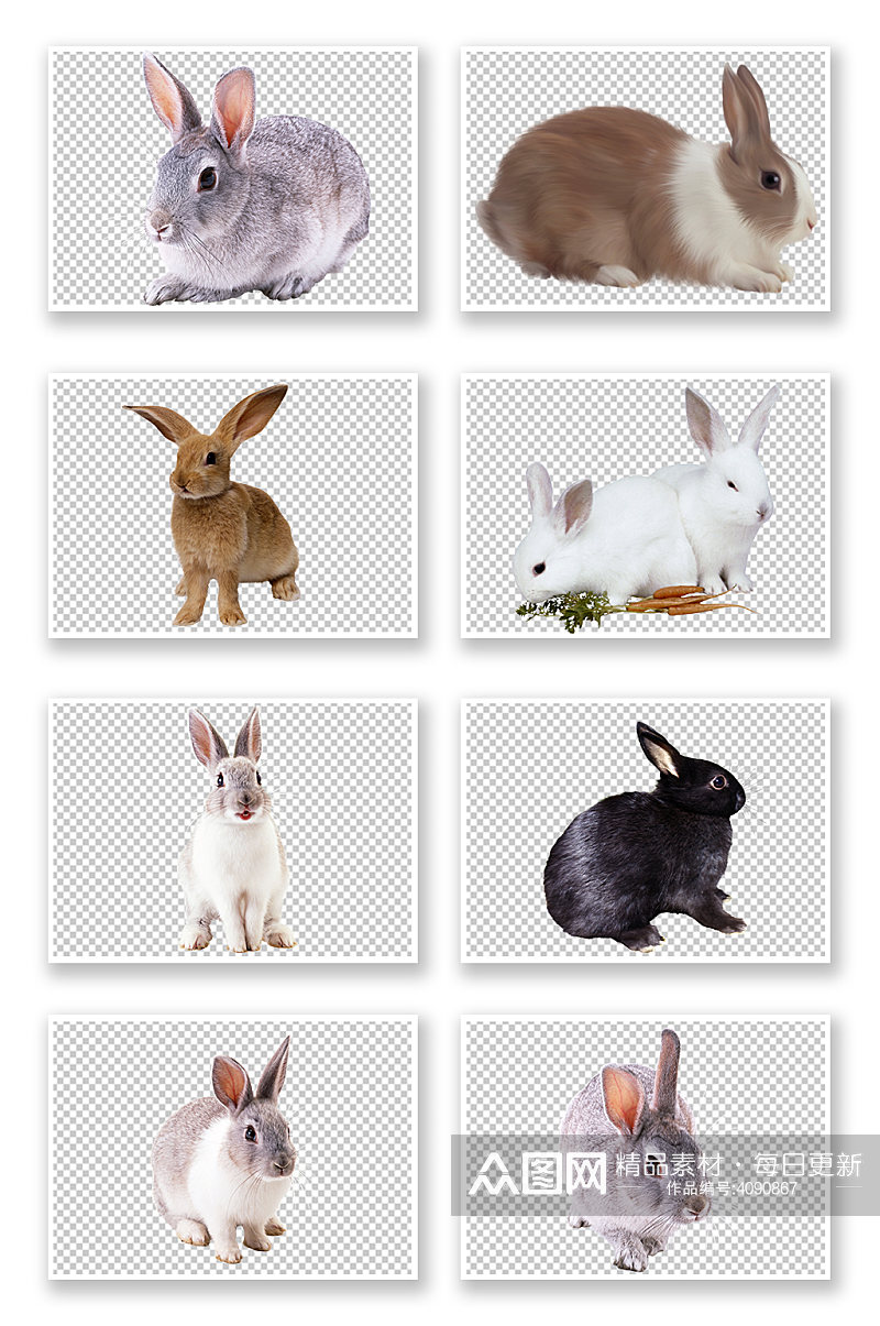 PNG免抠素材兔子素材