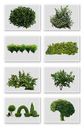 PNG免抠素材灌木树丛