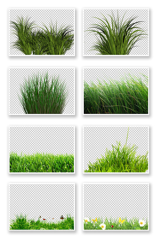 png免抠素材草丛