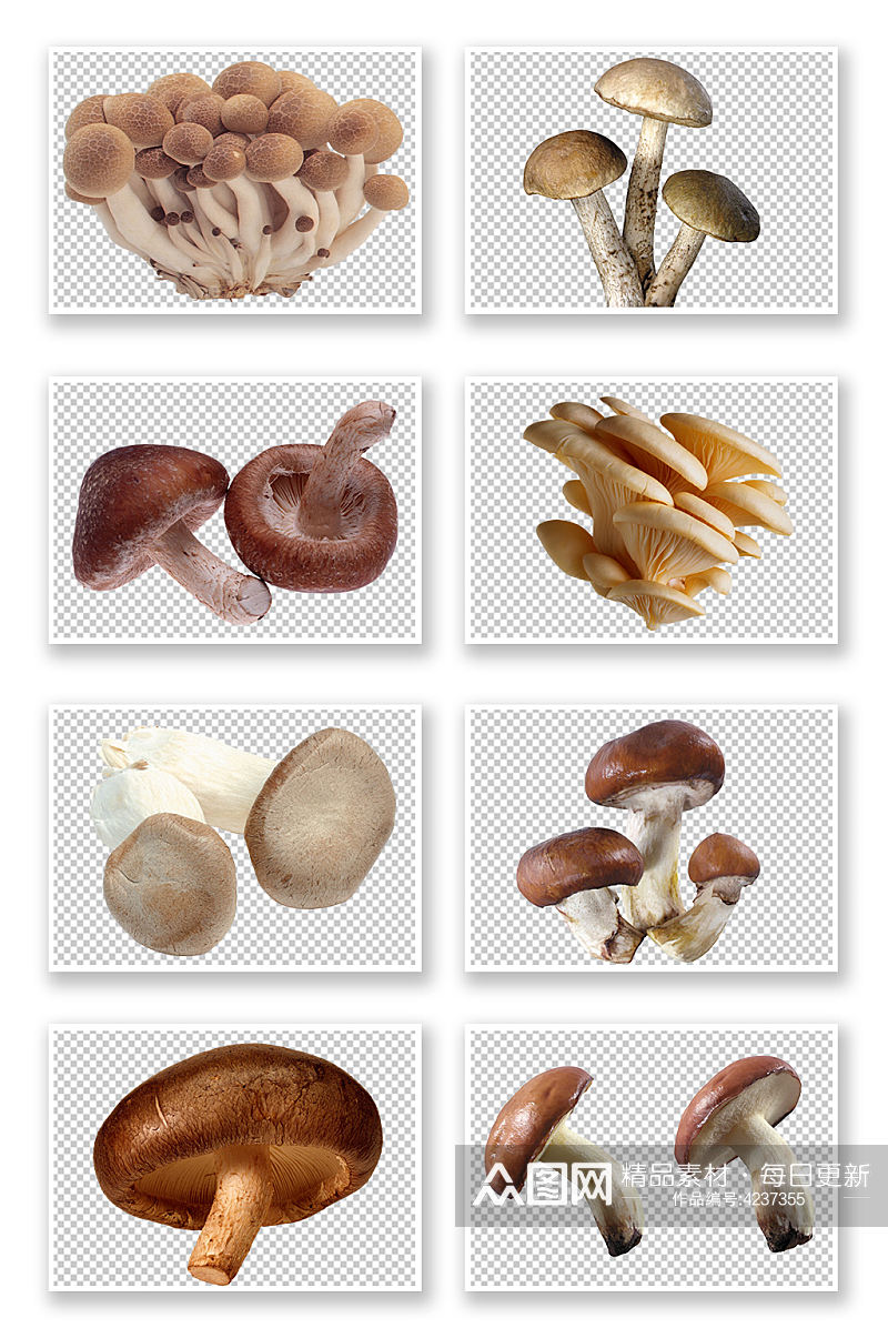 PNG免抠素材菌类蘑菇素材