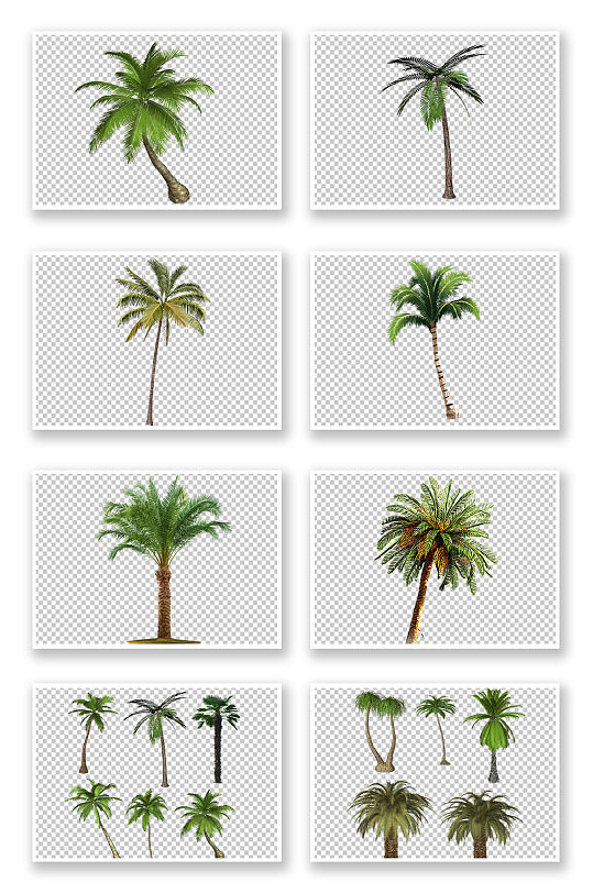 PNG免抠素材椰树