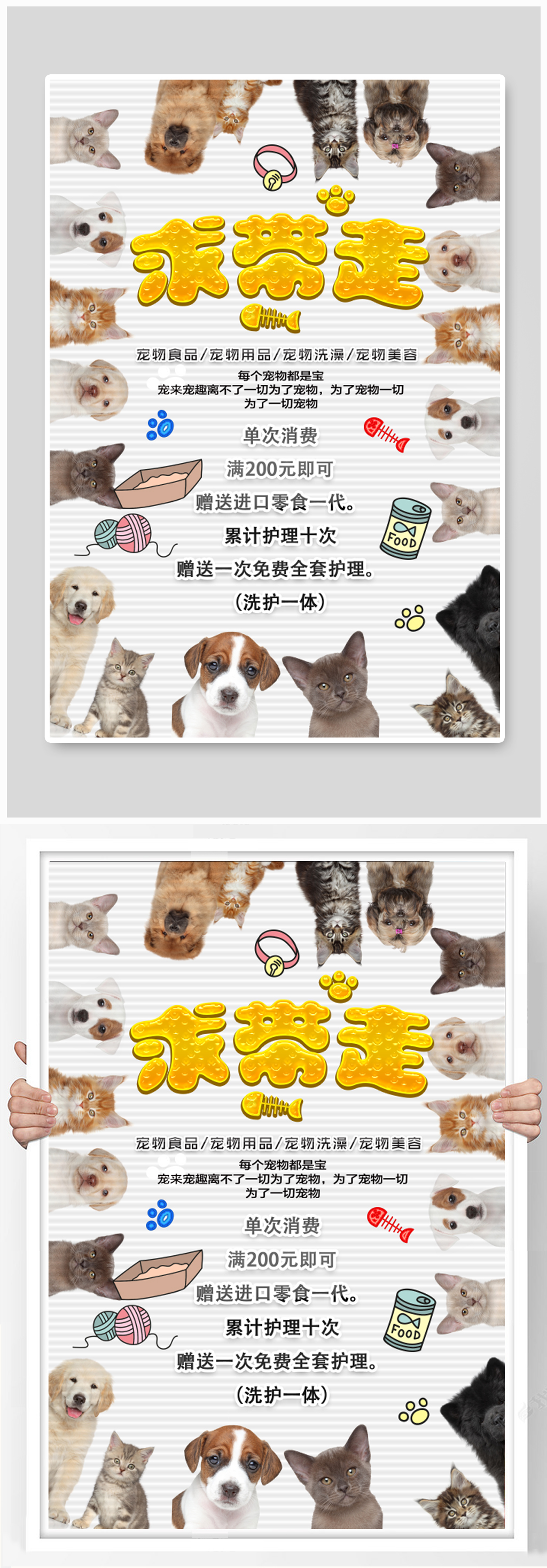 宠物萌宠求带走海报素材
