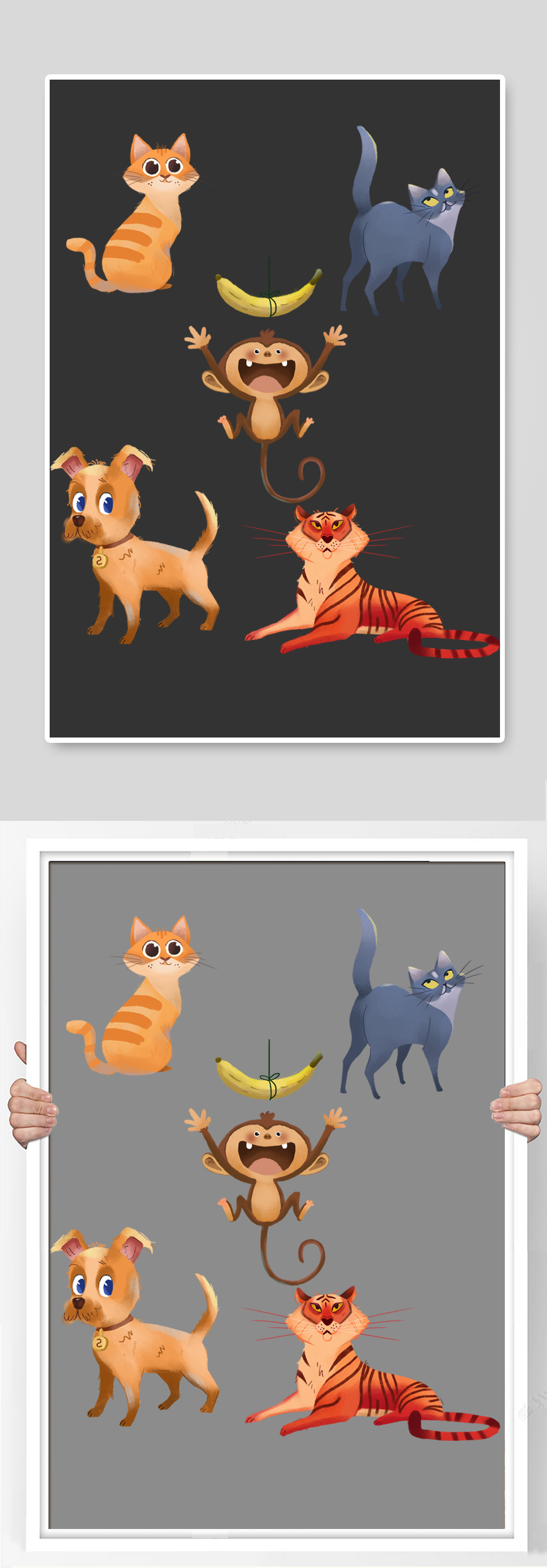 猫狗猴子老虎动物合集素材