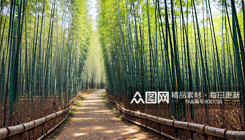 翠绿色的竹林自然风景AI数字艺术素材