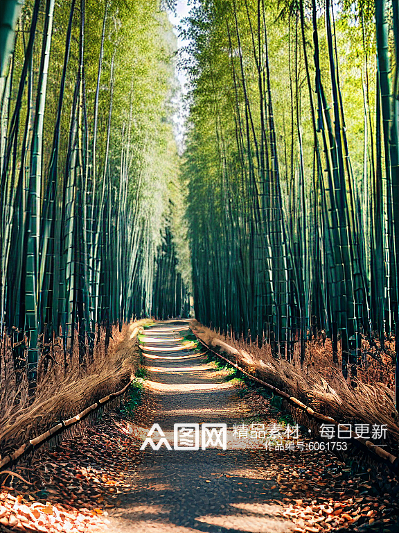 翠绿色的竹林自然风景AI数字艺术素材