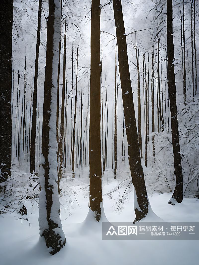 AI数字艺术摄影风大雪覆盖的森林素材