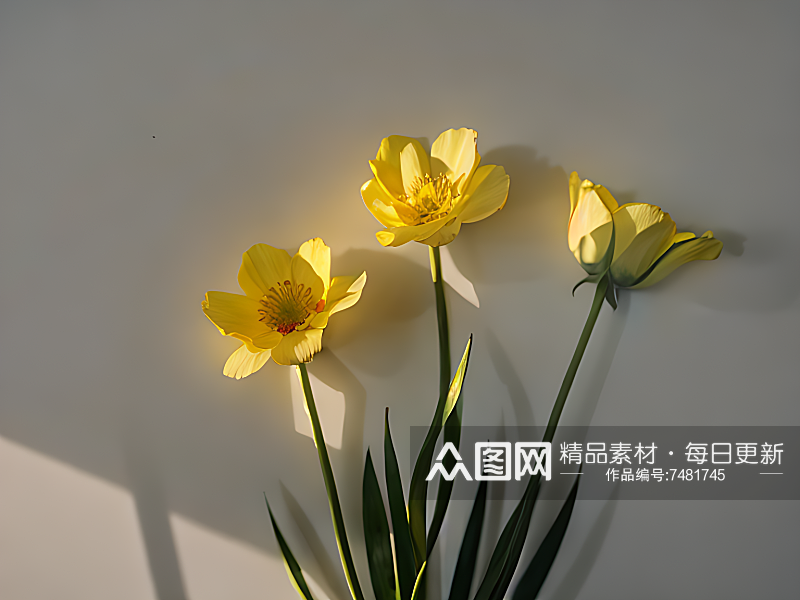 AI数字艺术摄影风被阳光照射的花素材