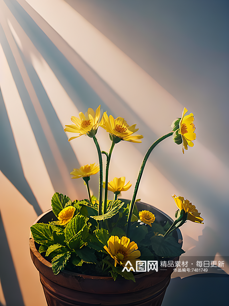 AI数字艺术摄影风被阳光照射的花素材