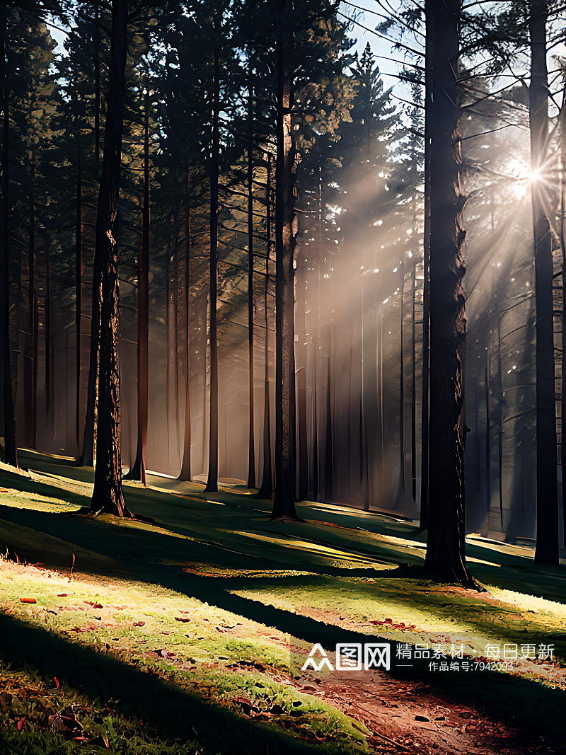 阳光洒进树林摄影图AI数字艺术素材