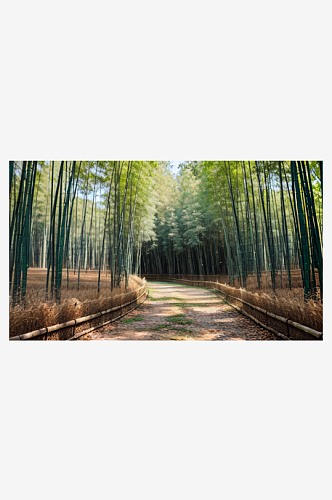 翠绿色的竹林自然风景AI数字艺术