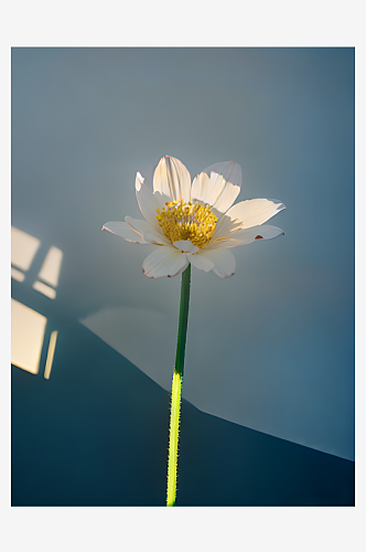 AI数字艺术摄影风被阳光照射的花