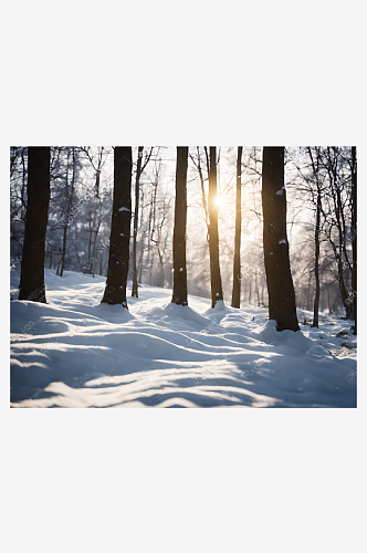 摄影风下雪的树林AI数字艺术