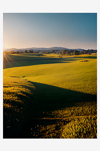 AI数字艺术摄影风清晨阳光下的草地