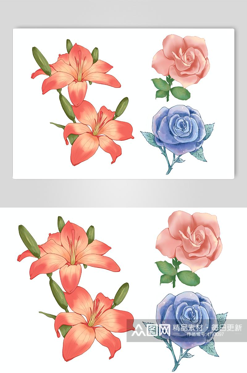 清新百合玫瑰手绘鲜花玫瑰花插画元素素材
