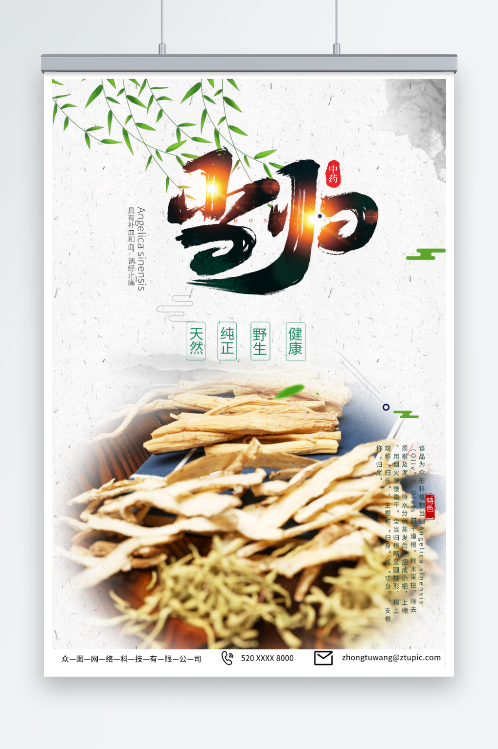 补血和血养生当归药材中药海报素材