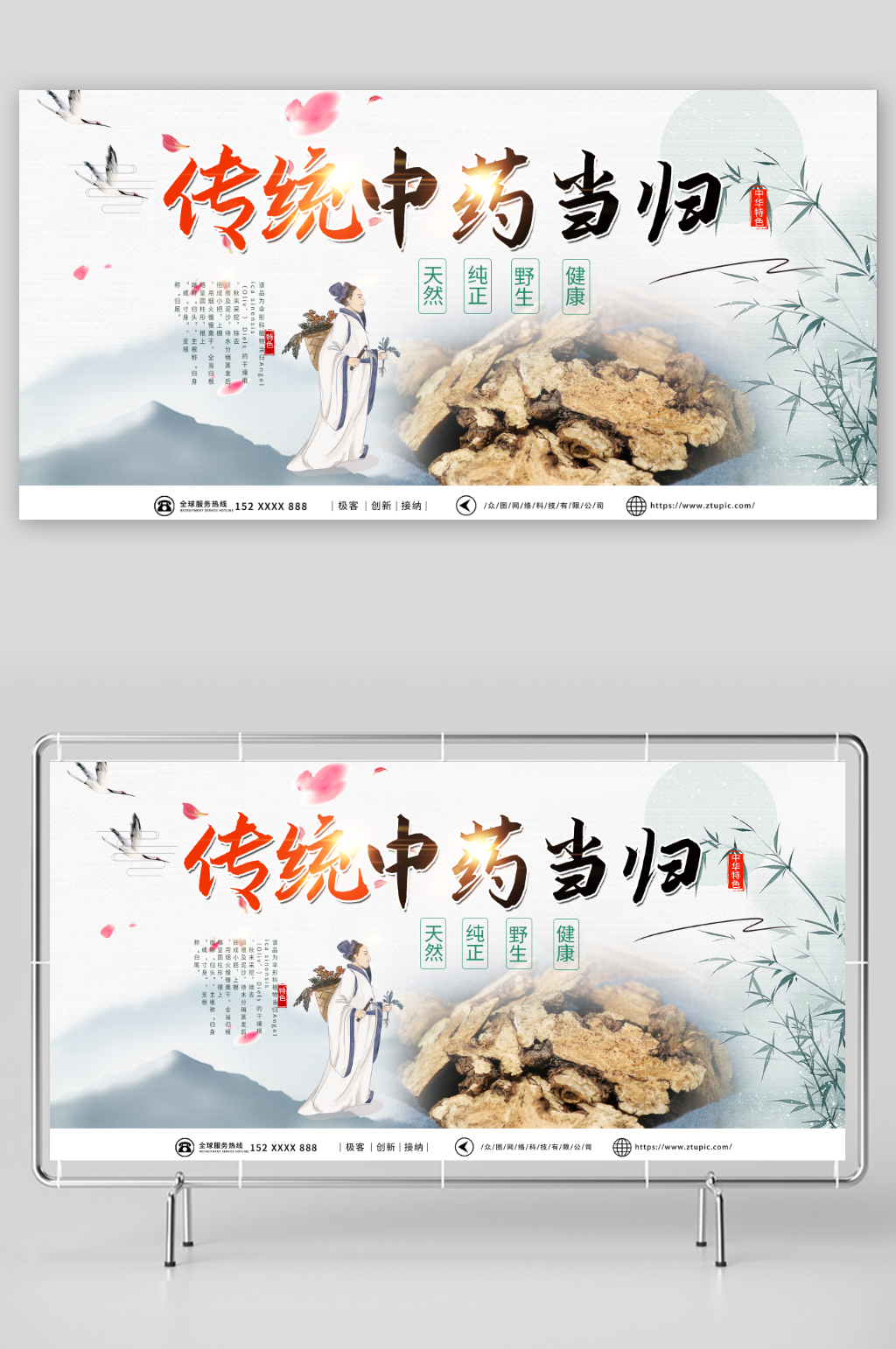 深绿色养生当归药材中药展板素材