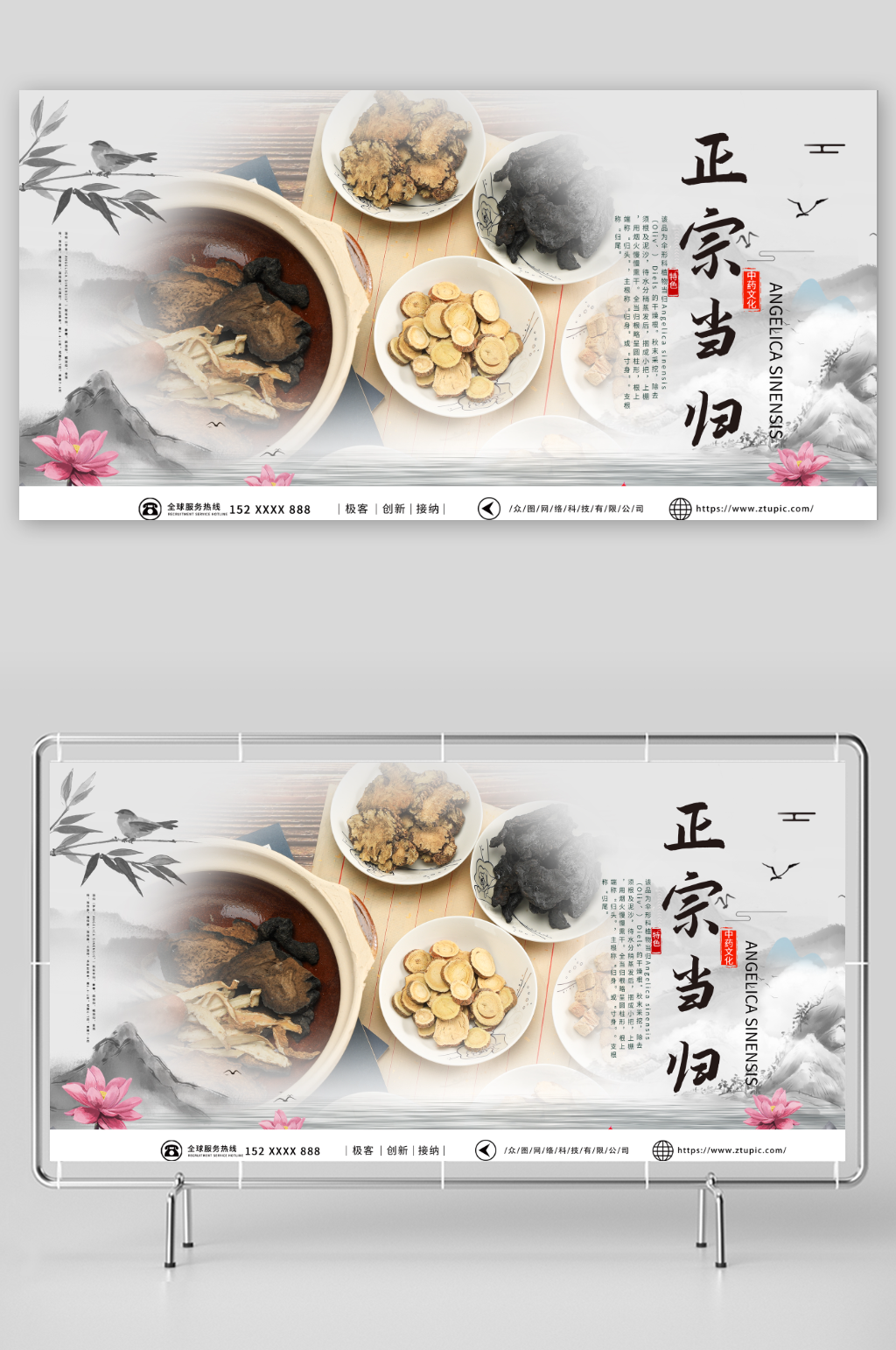 正宗特色养生当归药材中药展板素材
