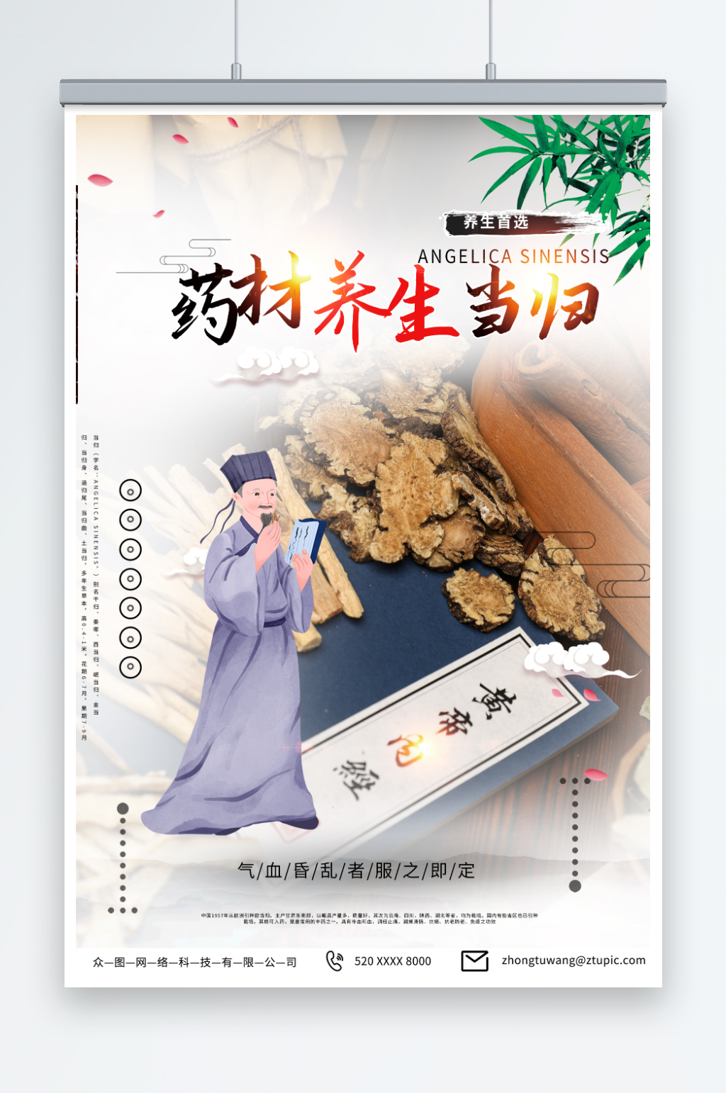 浅色养生当归药材中药海报素材