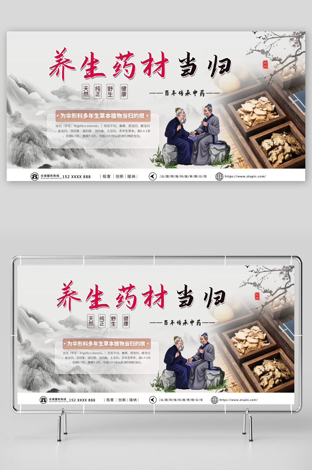 养生当归药材中药展板素材