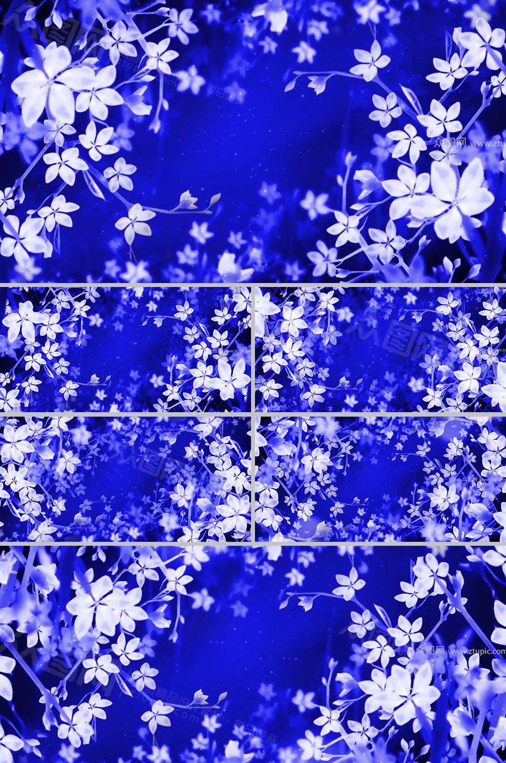 梦境幽花湛蓝静谧背景视频素材