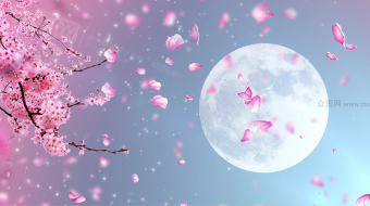 浪漫月下桃花动态背景视频-众图网