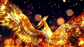 震撼追踪光线年会盛典视频-众图网