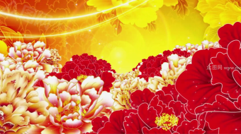 牡丹花海国庆大典晚会背景视频素材-众图网