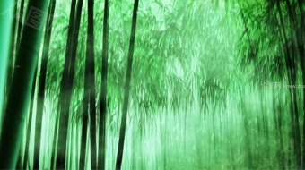 春雨润竹林中古韵背景视频素材-众图网