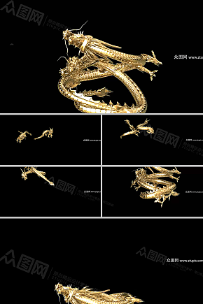 霸气双金龙腾舞缠绕视频素材