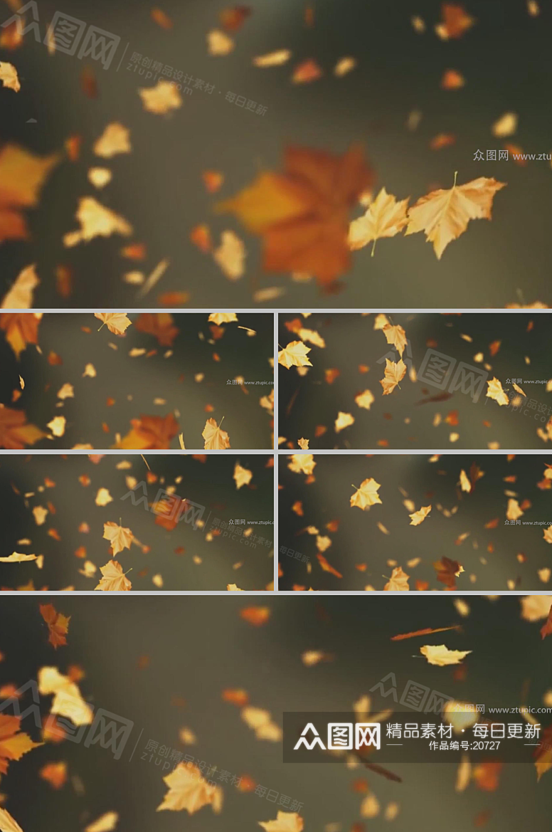 枫叶掉落唯美LED背景视频素材素材