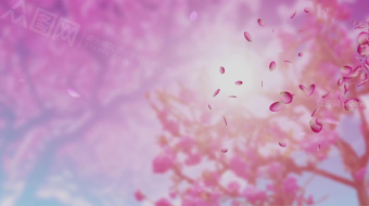 唯美大气桃花花瓣舞蹈背景视频-众图网