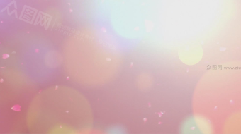 粉色花瓣浪漫唯美漏光背景视频-众图网