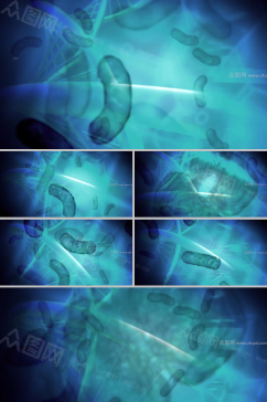 蓝色阿米巴虫及其DNA螺旋视频