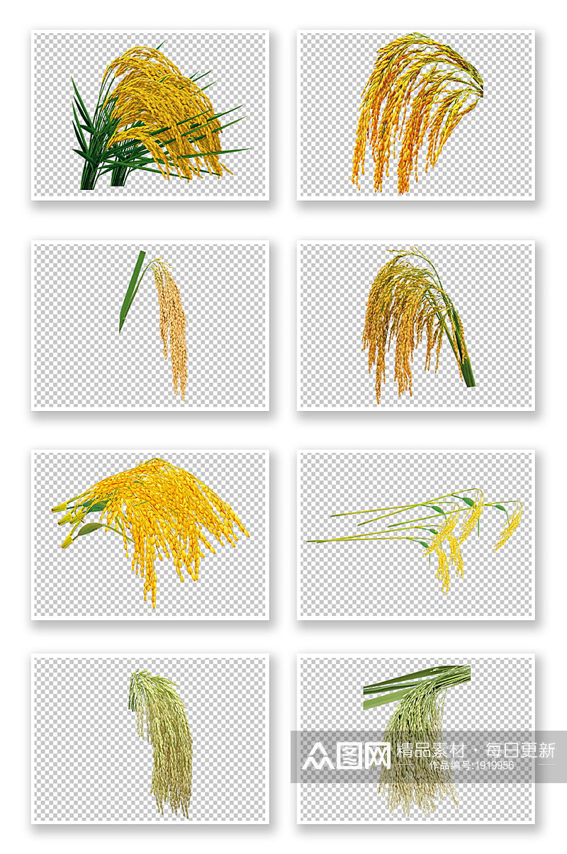 水稻小麦玉米粮食元素素材素材