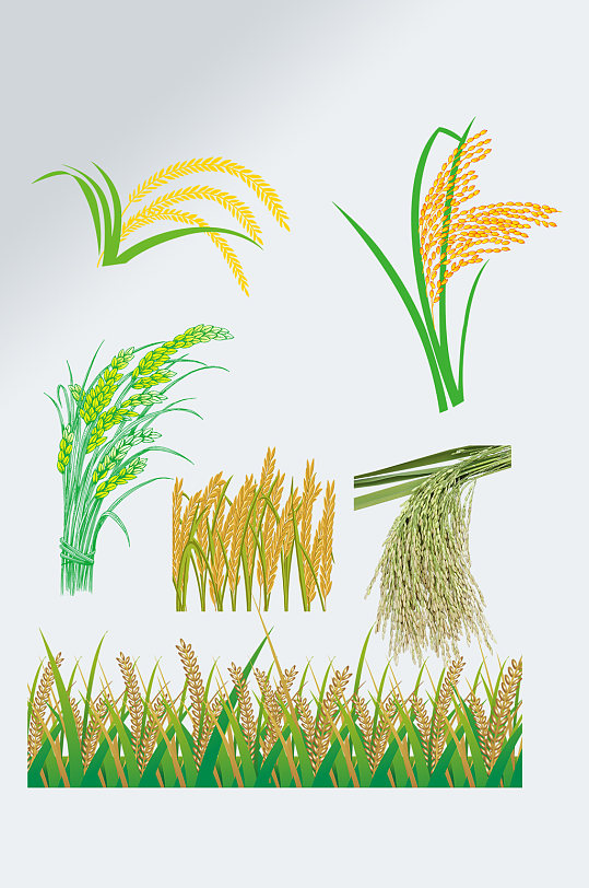 水稻小麦玉米粮食元素素材