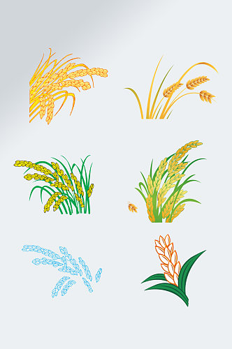 粮食水稻麦子麦穗免扣元素
