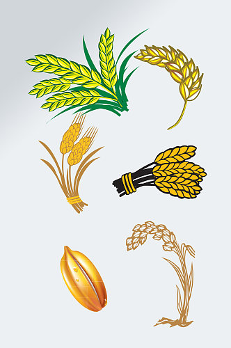 手绘水稻麦穗图案装饰元素