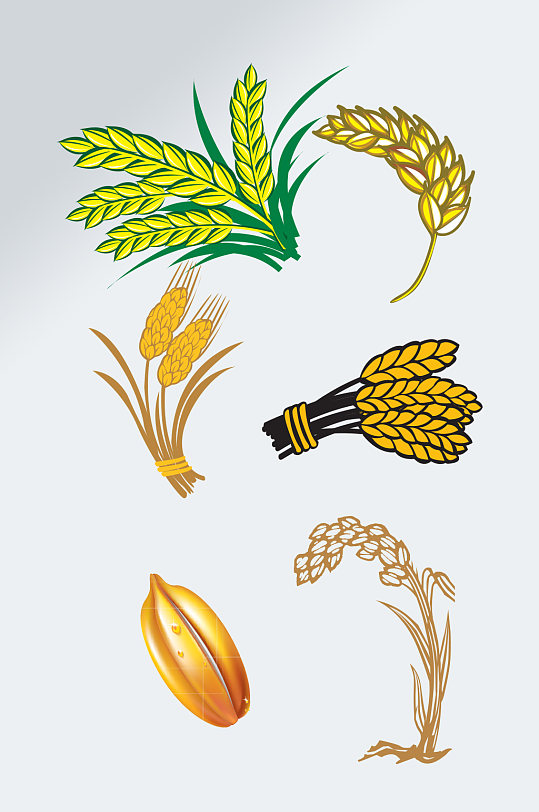 手绘水稻麦穗图案装饰元素