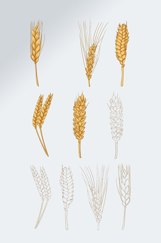 粮食水稻麦子麦穗免扣元素