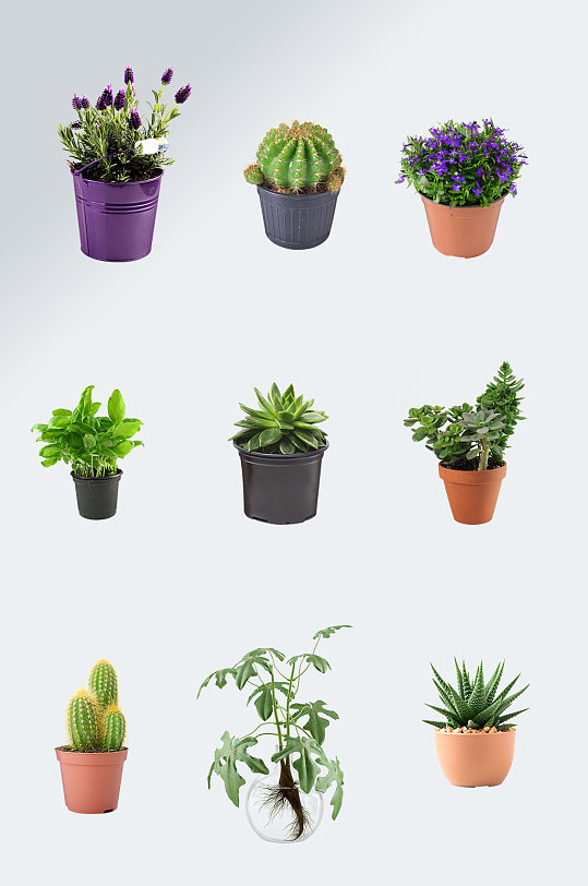 绿化花盆图片-绿化花盆素材下载-众图网