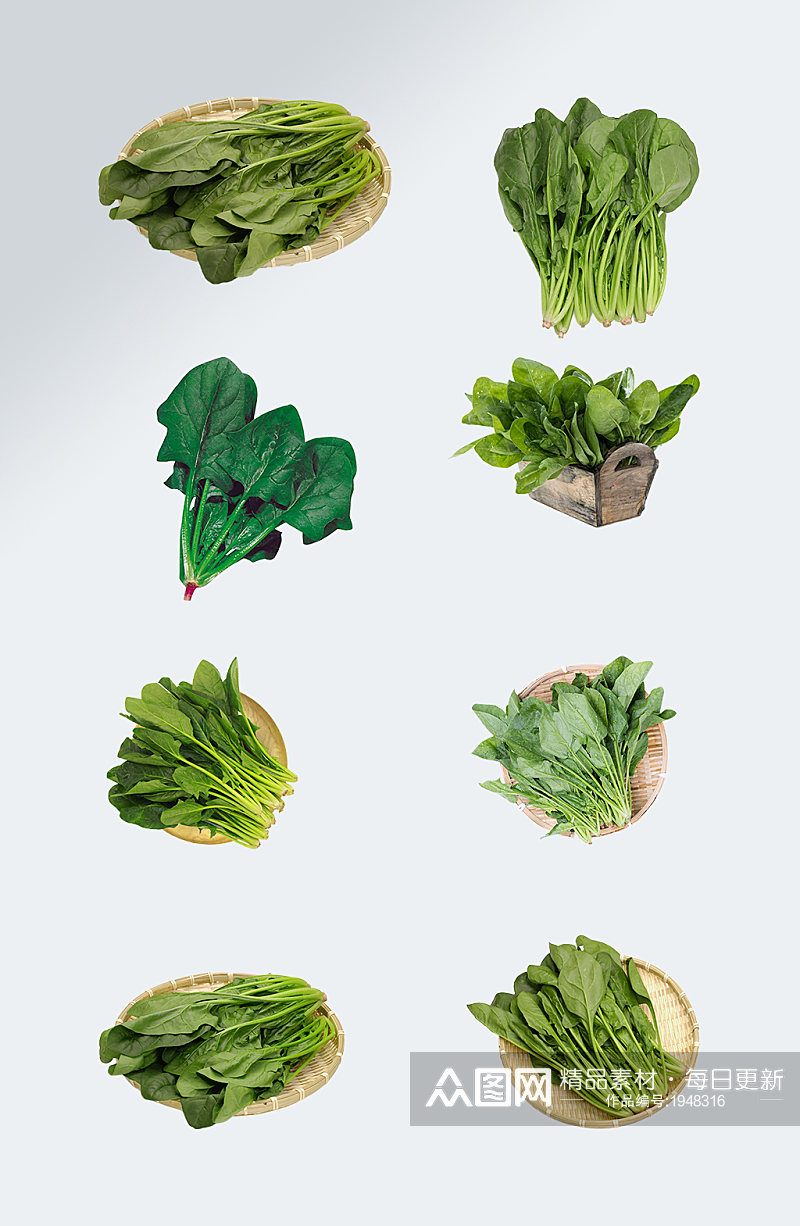 绿色蔬菜菠菜元素素材