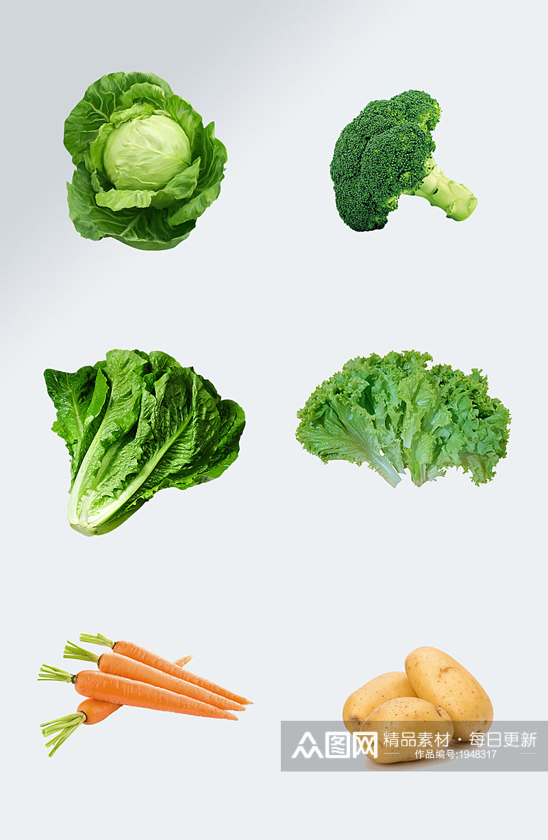 绿色蔬菜新鲜菠菜素材素材
