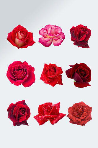 七夕红色玫瑰花元素