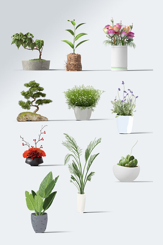 园艺景观盆栽绿植免抠素材立即下载立即下载写实盆栽绿植素材立即下载