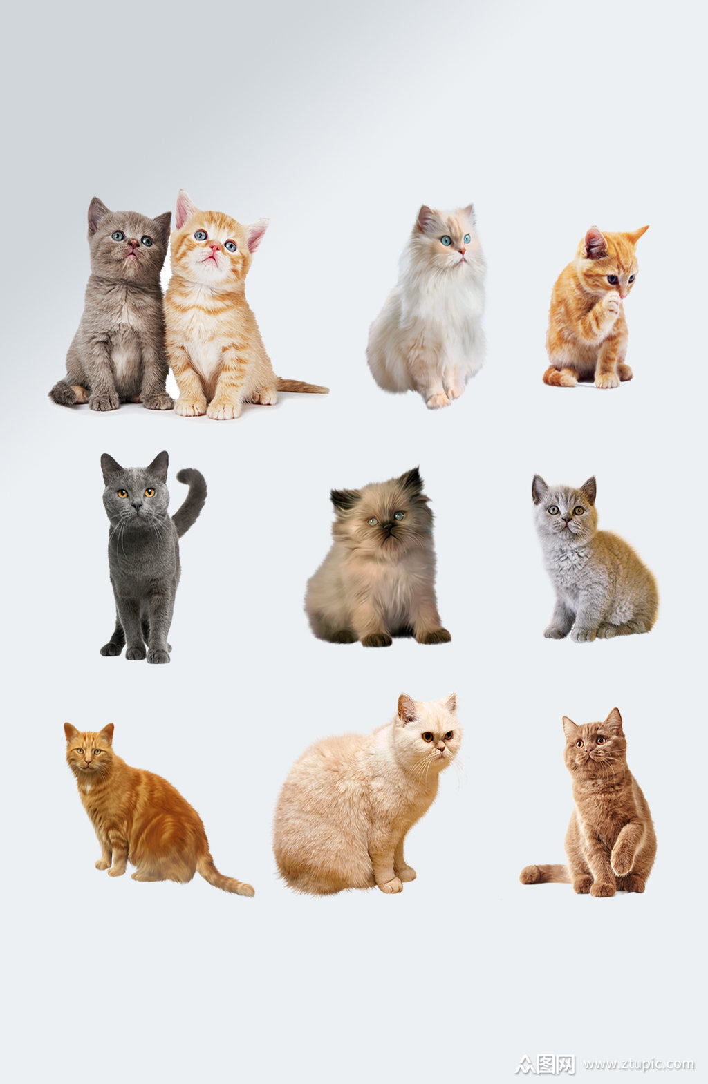 可爱宠物猫咪免抠素材